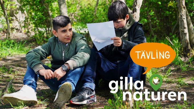 Gilla naturen 2021 – kul och enkel fototävling för mellanstadiet