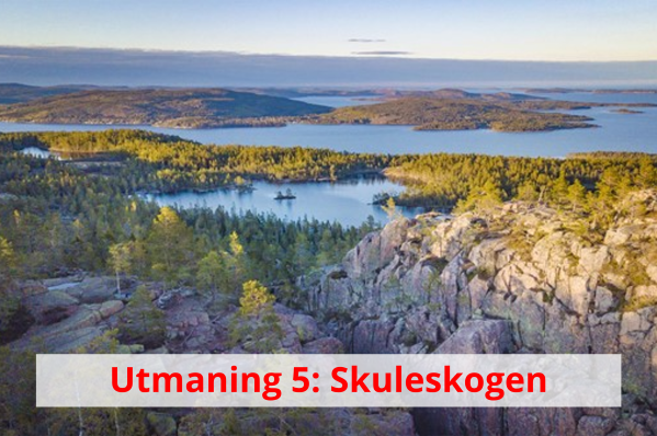 Skuleskogen_text_tankesmedjan_luftenarfri